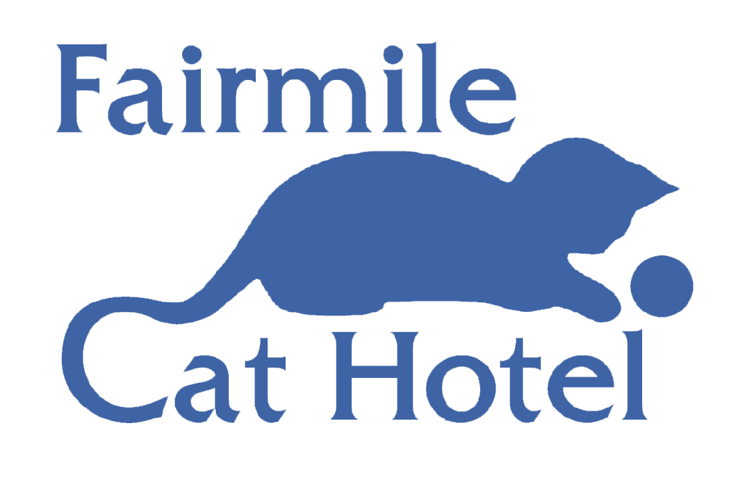 Luxury rural cattery between Exeter and Honiton - Fairmile Cat Hotel, Exeter Devon